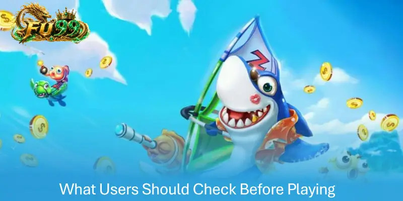 What Users Should Check Before Playing